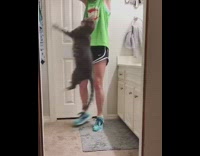 cat trying to catch girls hair