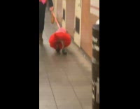 Brown dog wears pink and red dress 