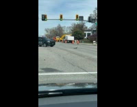 Police car leads ducks off road 