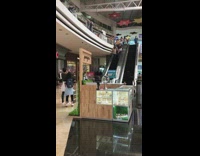 Two people ride down escalator dance yell 