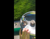 Water shoot out far from drinking fountain