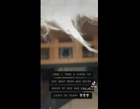 Small pug dog hiding under wood frame of bed