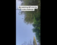 Phone falls guy looks down crate challenge