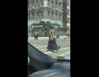 Woman cross street dog ride tiny car