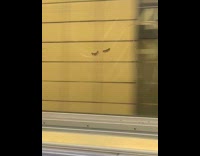 Person puts eyelash extension on subway window