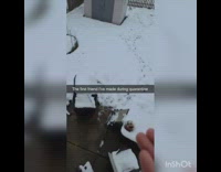 Girl holds wasp bee window screen