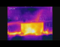 Submitter shows cat in sauna FLIR camera