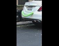 Green pool noodle on white sedan car 
