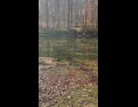 Man in checkered polo throw rock and skips on the river
