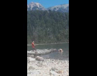 Woman white bikini dip hair water flip