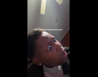 Cat tries to jump onto submitters head