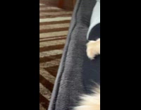 Woman in pain because of cats claw