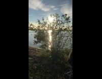 Woman orange shirt bottle and can lake