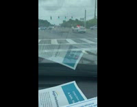 Collab DiscoveranimalIG - Crocodile in street intersection in Florida Part 2