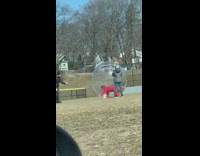 Lady inside clear plastic bubble ball park
