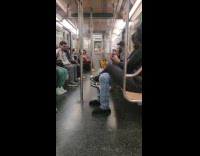 Collab WINY - Man travels with pet parrot at subway