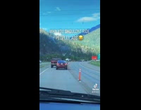 Collab BitchMP - Red car tail  gating rear ends truck 