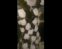 Man forms snow faces using mask on tree 