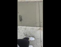 GIrl showing off nails steps in wet cement 