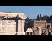 Man shows bird sighting like main character