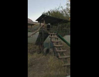 Lady watches animal climb down ladder 