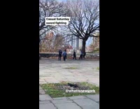 People practice martial arts with swords park 