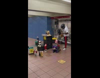 Man plays saxophone to Hey Jude with animals 