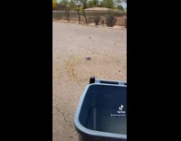 Collab BitchMP - Guy in car records small tornado forming