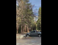 Girl black sleeves dance tiktok mountain cars