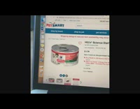 Orange cat gets treats tuna petsmart online