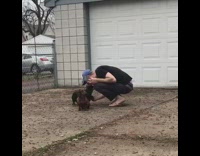 Two dogs driveway guy flip flops hat