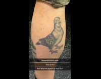 Angry pigeon tattoo at back man leg