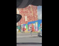 Woman swimsuit wave orange cloth animal mural