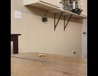 Grey cat grabs treat on table 