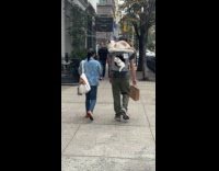 Collab WINY - Man carries cats in backpack on street