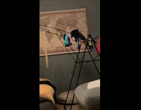 Cat climbs on clothing rack got stuck 