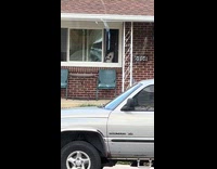 Cat window across street