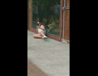 Woman white top sit lean lion cage glass