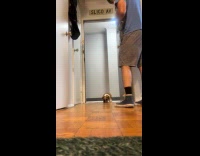 Owner brings puppy home the first time