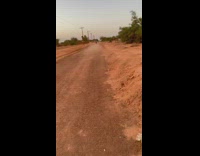 Guy does fast wheelie down road 