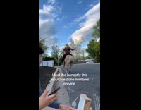 Collab Clips MPUGC - Angry woman riding horse gas station