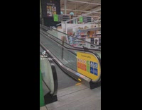 Collab DailyDoseOfInternet - Pigeon ride on escalator handrail grocery tiktok