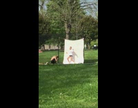 Girl white backdrop park black chainlink fence 