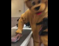 wendys worker gives raw meat to lion mascot