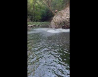 Woman dive from rock belly flop water