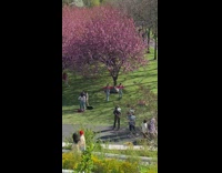 Two women pink shirt dance park flower trees part 2