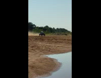 Black ATV speeds across sand and drifts on puddle 