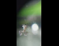 Small frog on the glass jumps seen with microscope