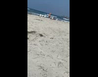 Inflatable dinosaur costume surfboard ocean water beach