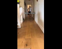 Dogs excited to greet mom
